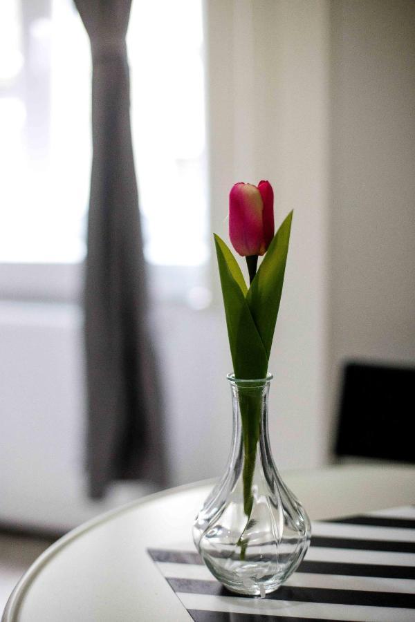 City Centre Loft Next To Synagogue บูดาเปสต์ ภายนอก รูปภาพ